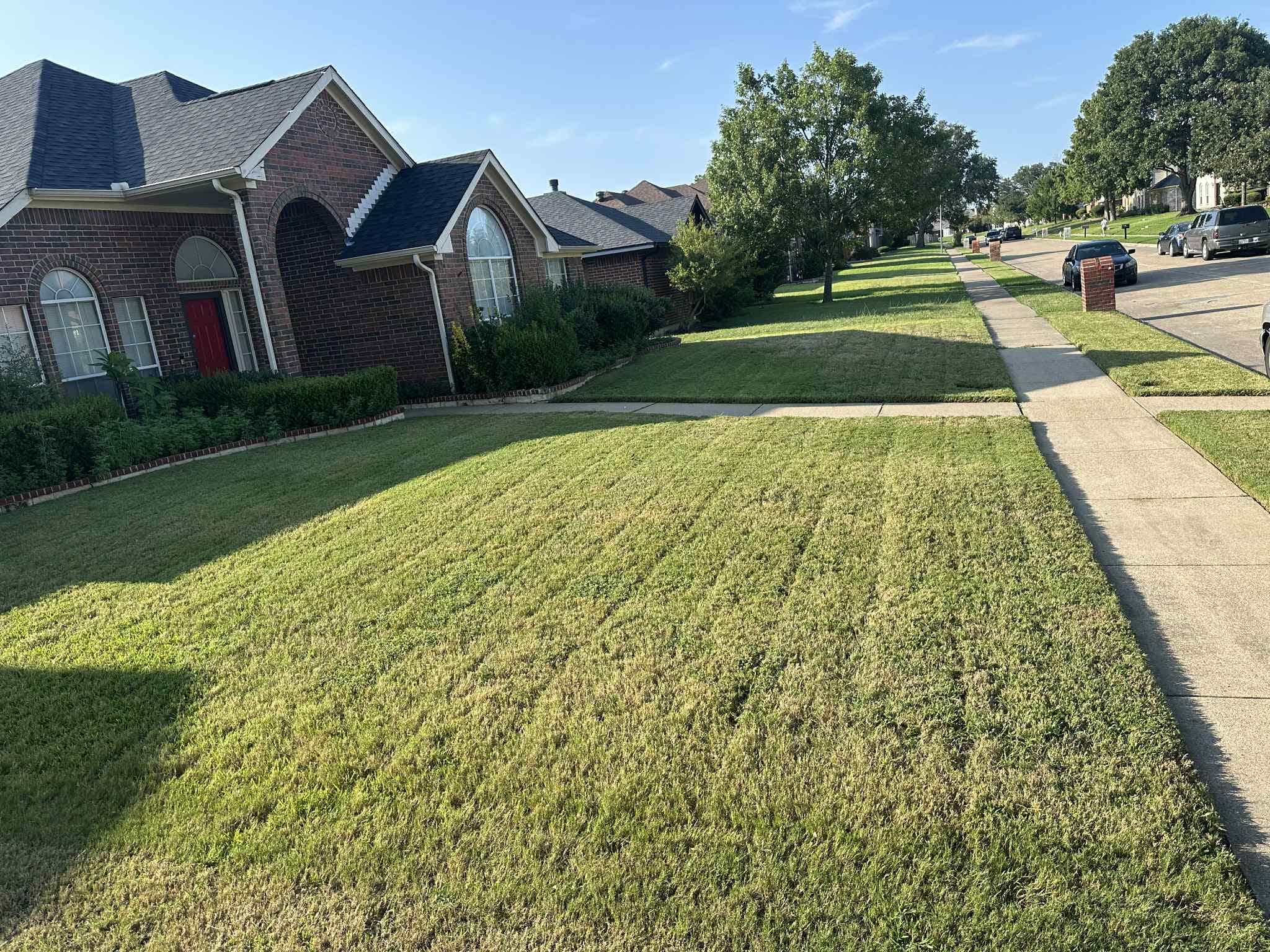 Lawn mowing front yard