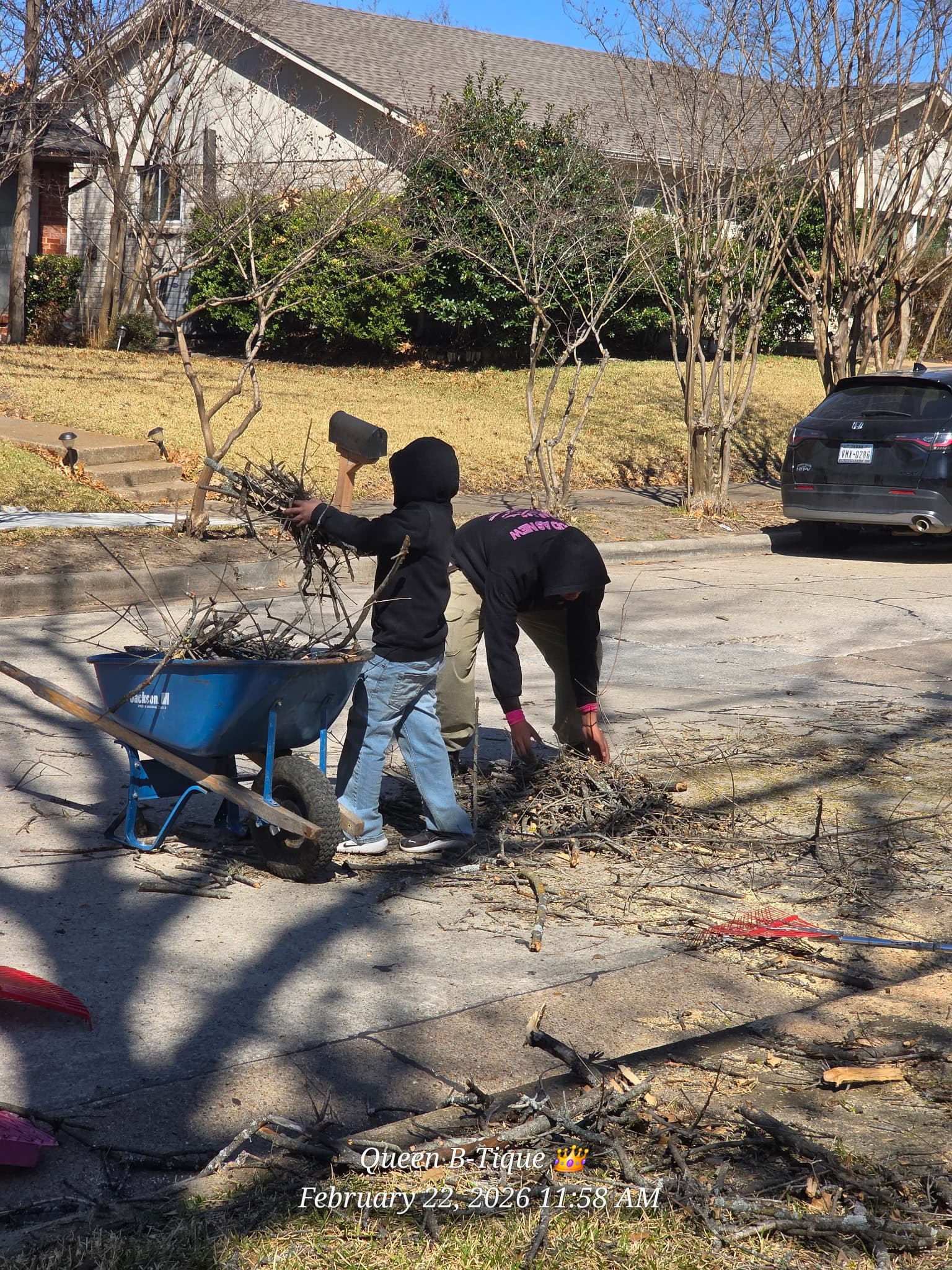 Yard debris cleanup