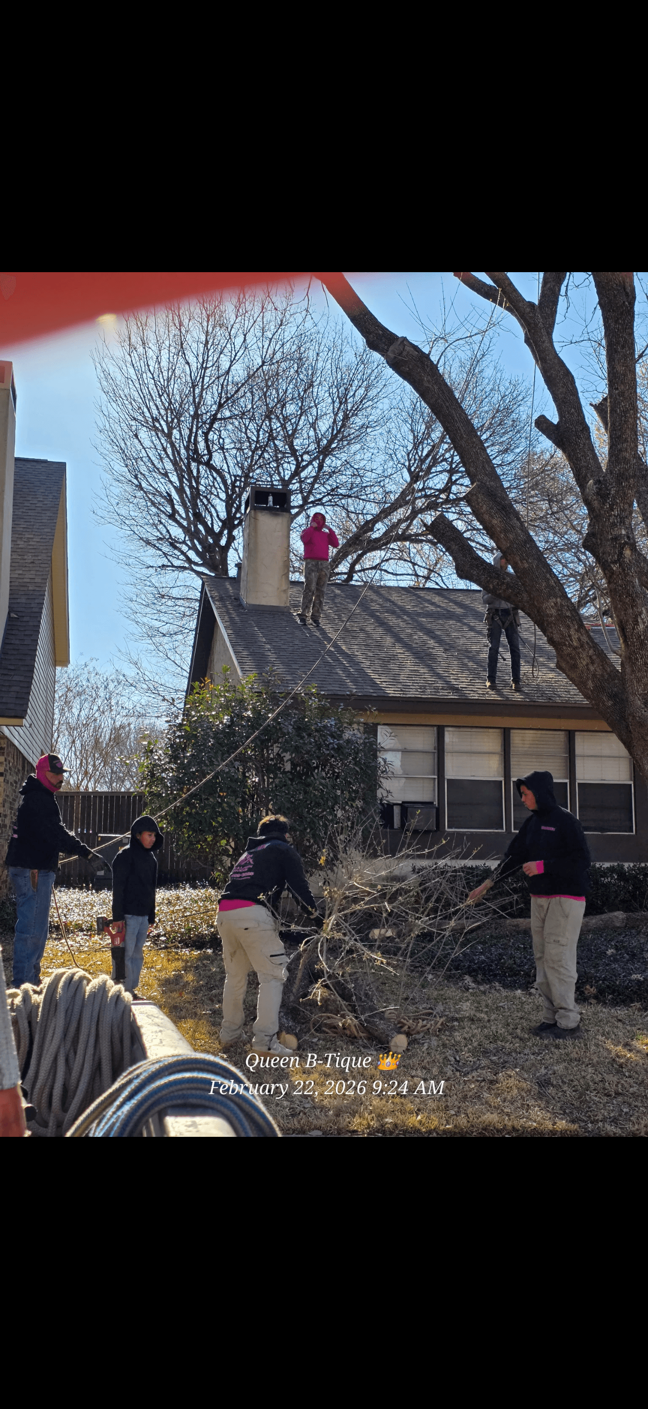 Good As New crew and young workers on a tree removal job